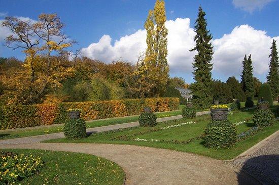 Botanischen Gartens und Botanischen Museums Berlin